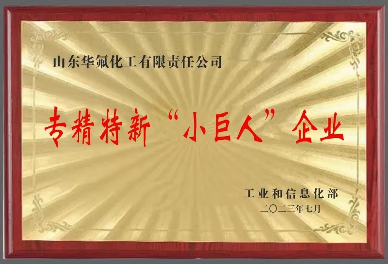 專(zhuān)精特新“小巨人”企業(yè)